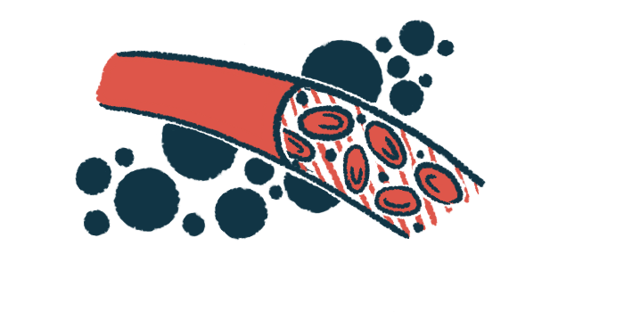 Blood cells are shown flowing through a blood vessel in this illustration.