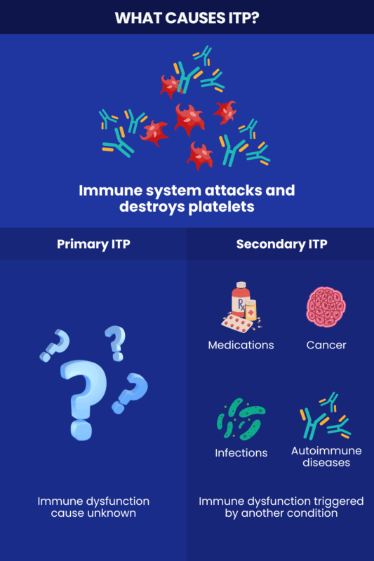 Infographic showing what causes ITP