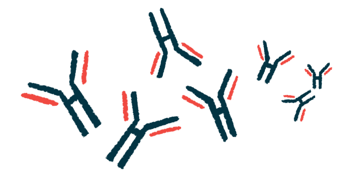 This illustration shows a selection of antibodies.
