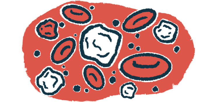 White blood cells are seen among red blood cells in this close-up illustration.