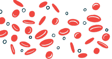 This illustration shows a collection of red blood cells.
